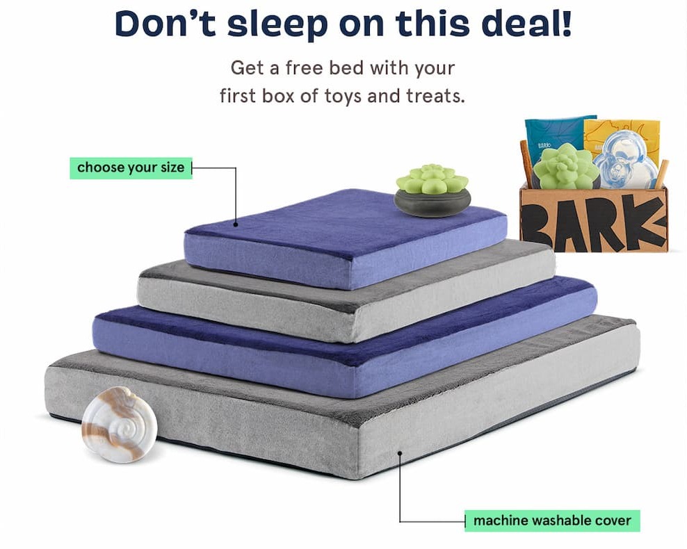 Free Dog Bed