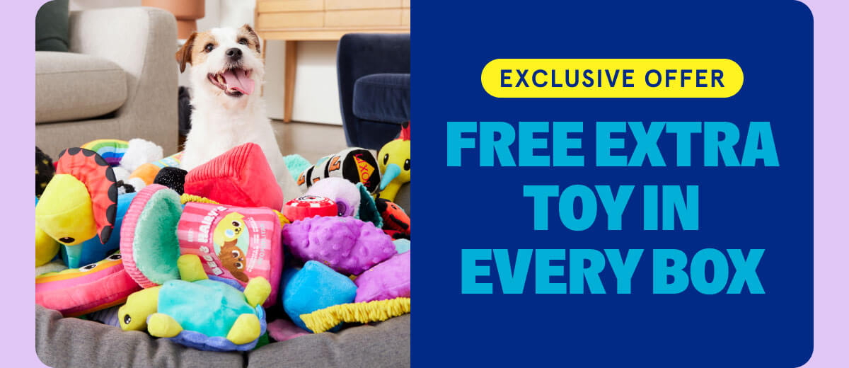 Free Extra Toy In Every Box