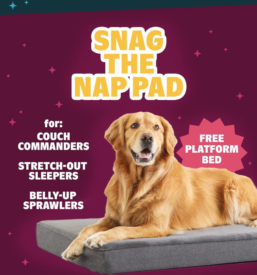 Snag the nap pad