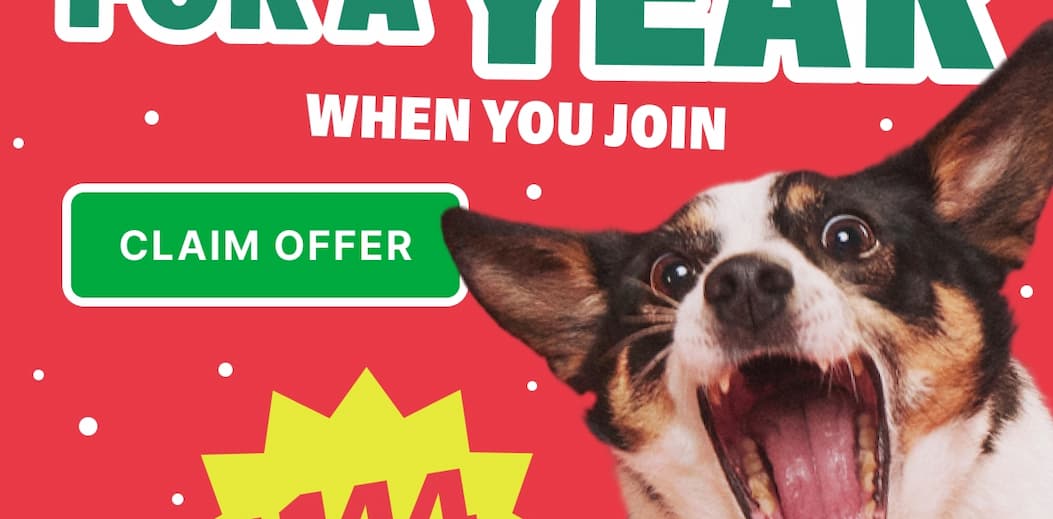 claim offer