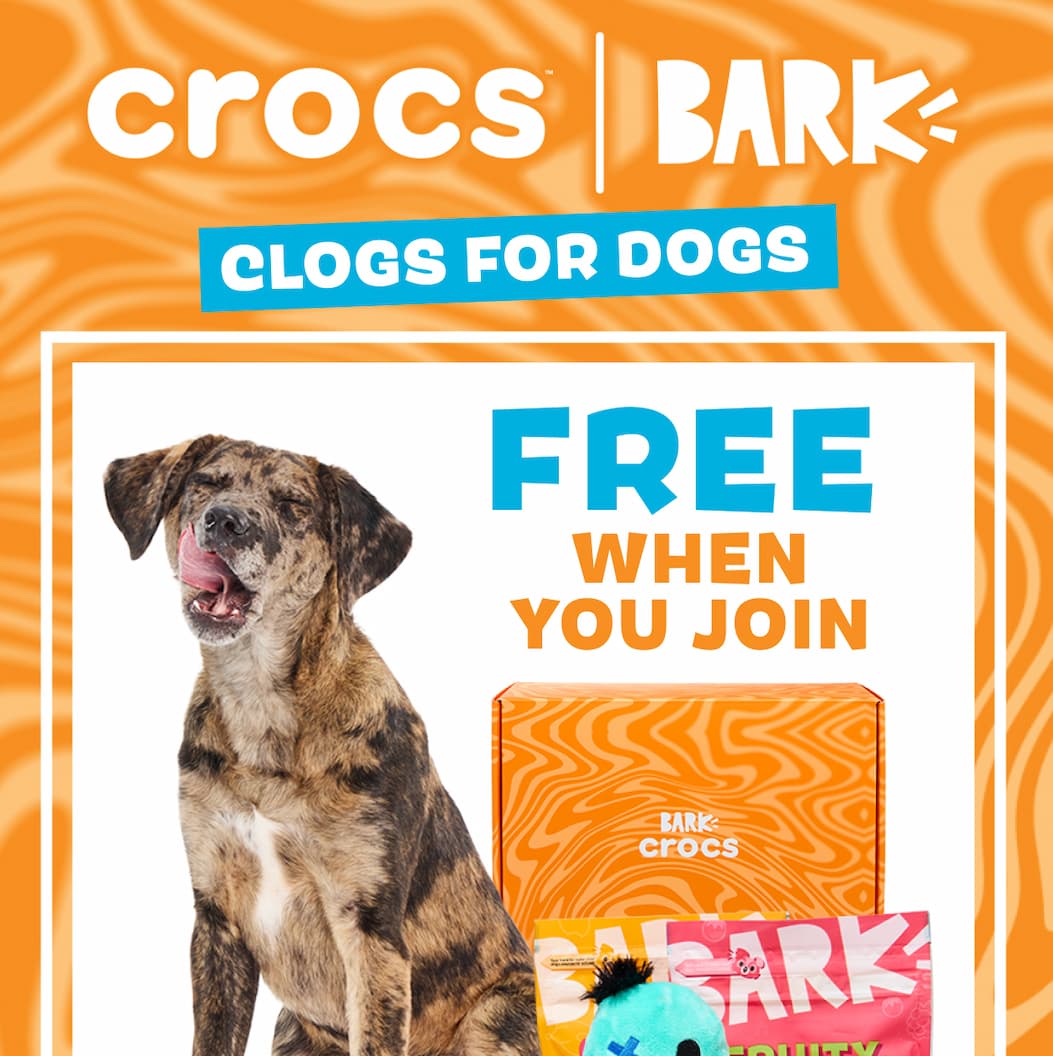crocs I bark