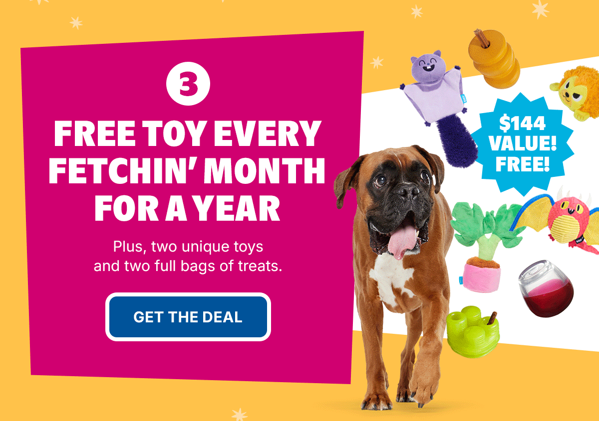 Free Toy included Every Month