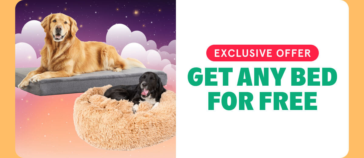 get any bed For Free