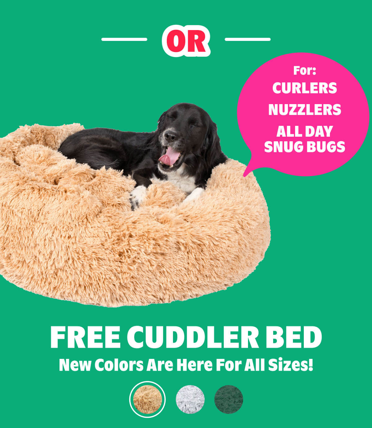 FREE Cuddler Bed