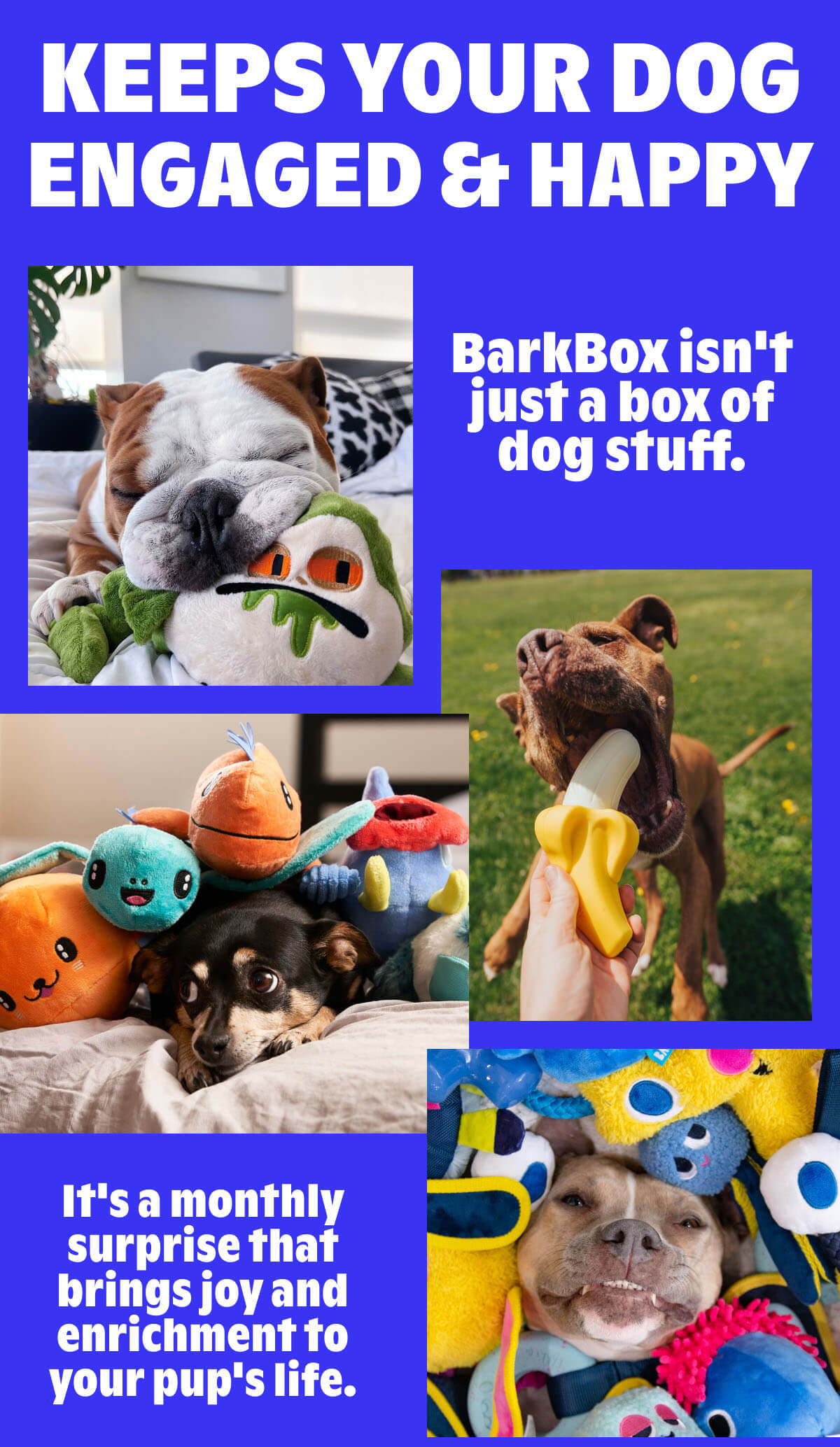 KEEPS YOUR DOG ENGAGED & HAPPY