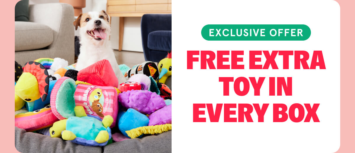 Free Extra Toy In Every Box
