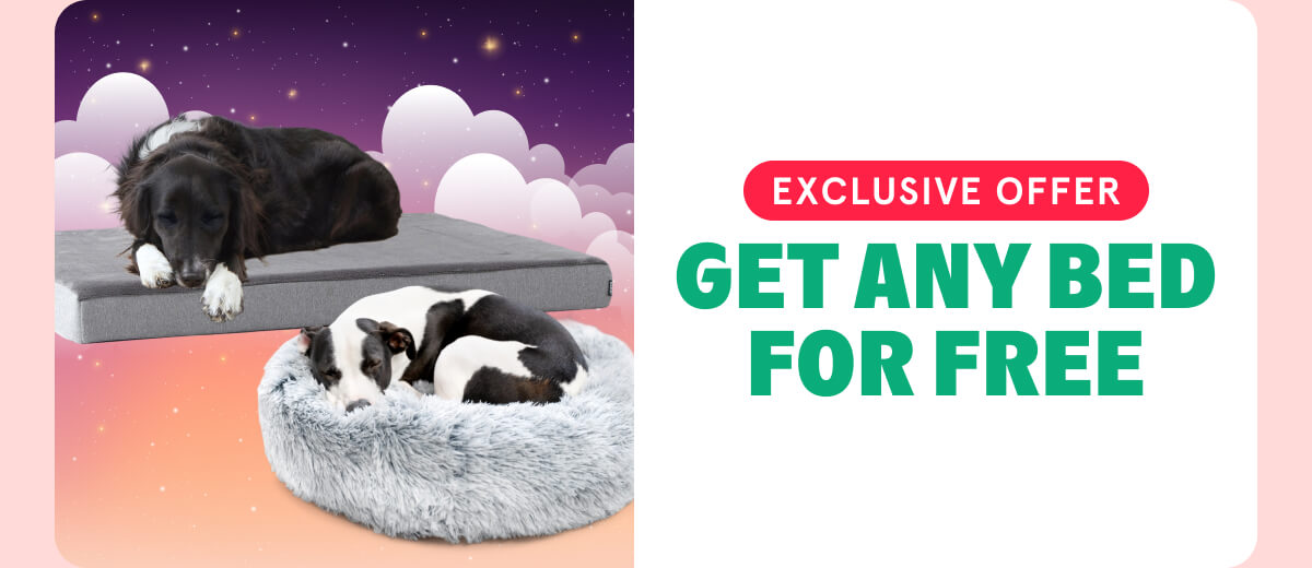 get any bed For Free