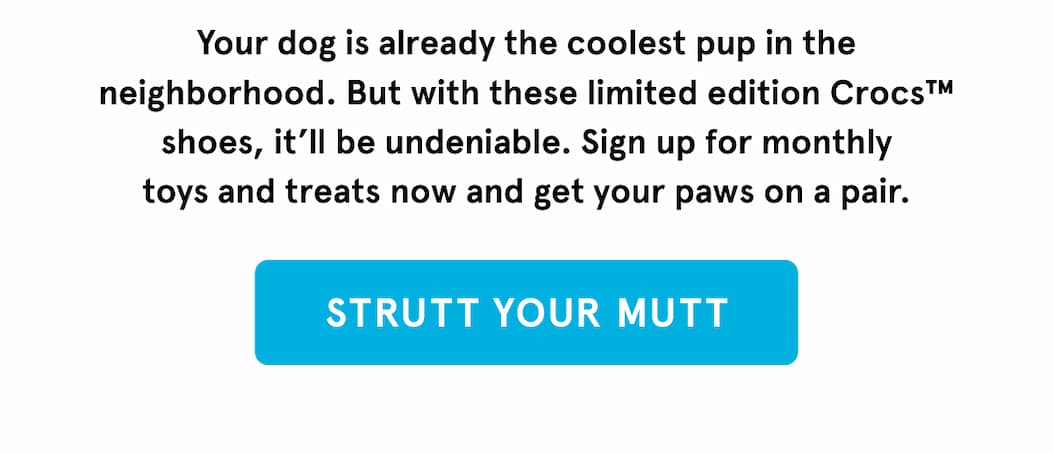 strutt your mutt CTA