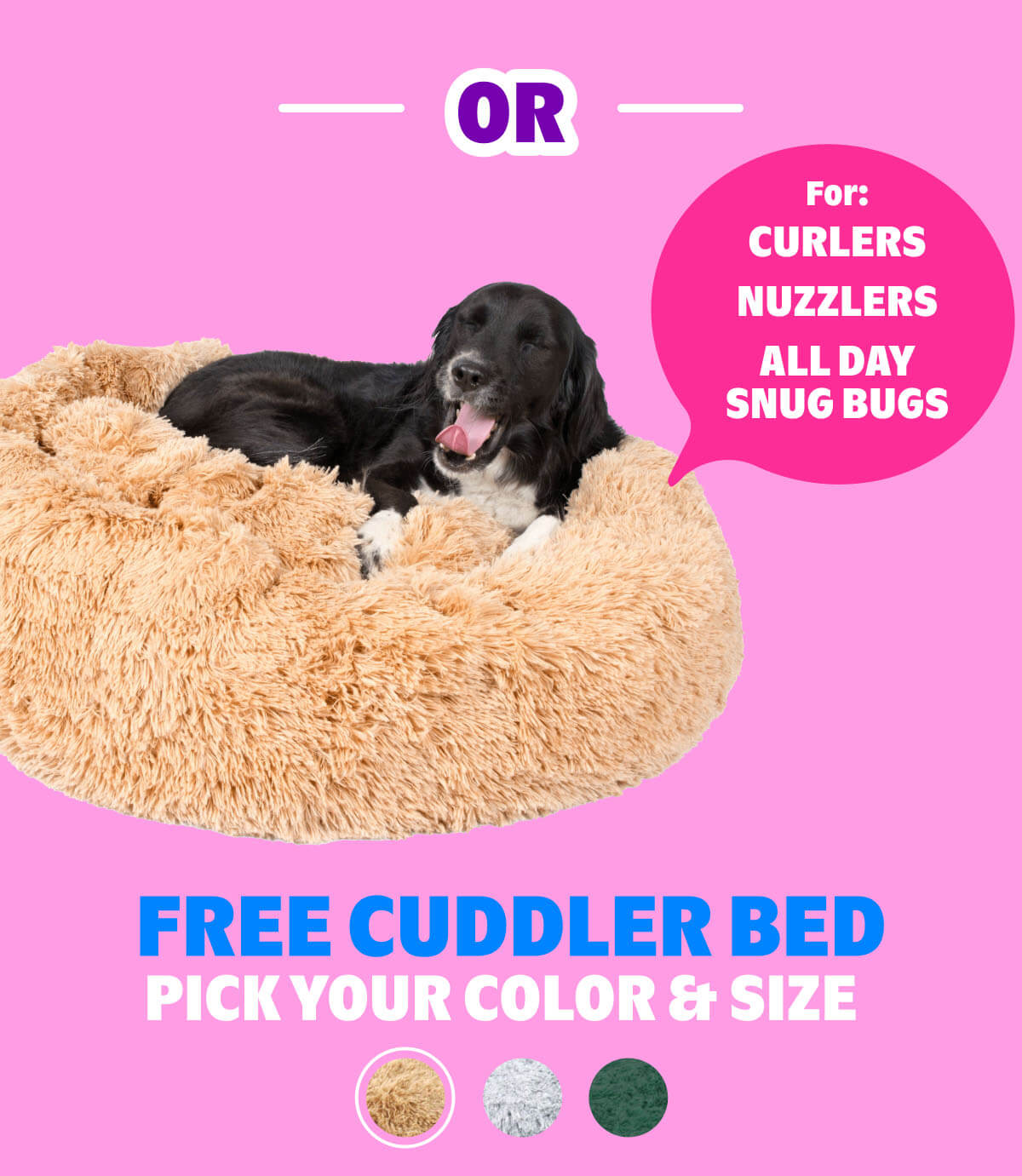 FREE Cuddler Bed