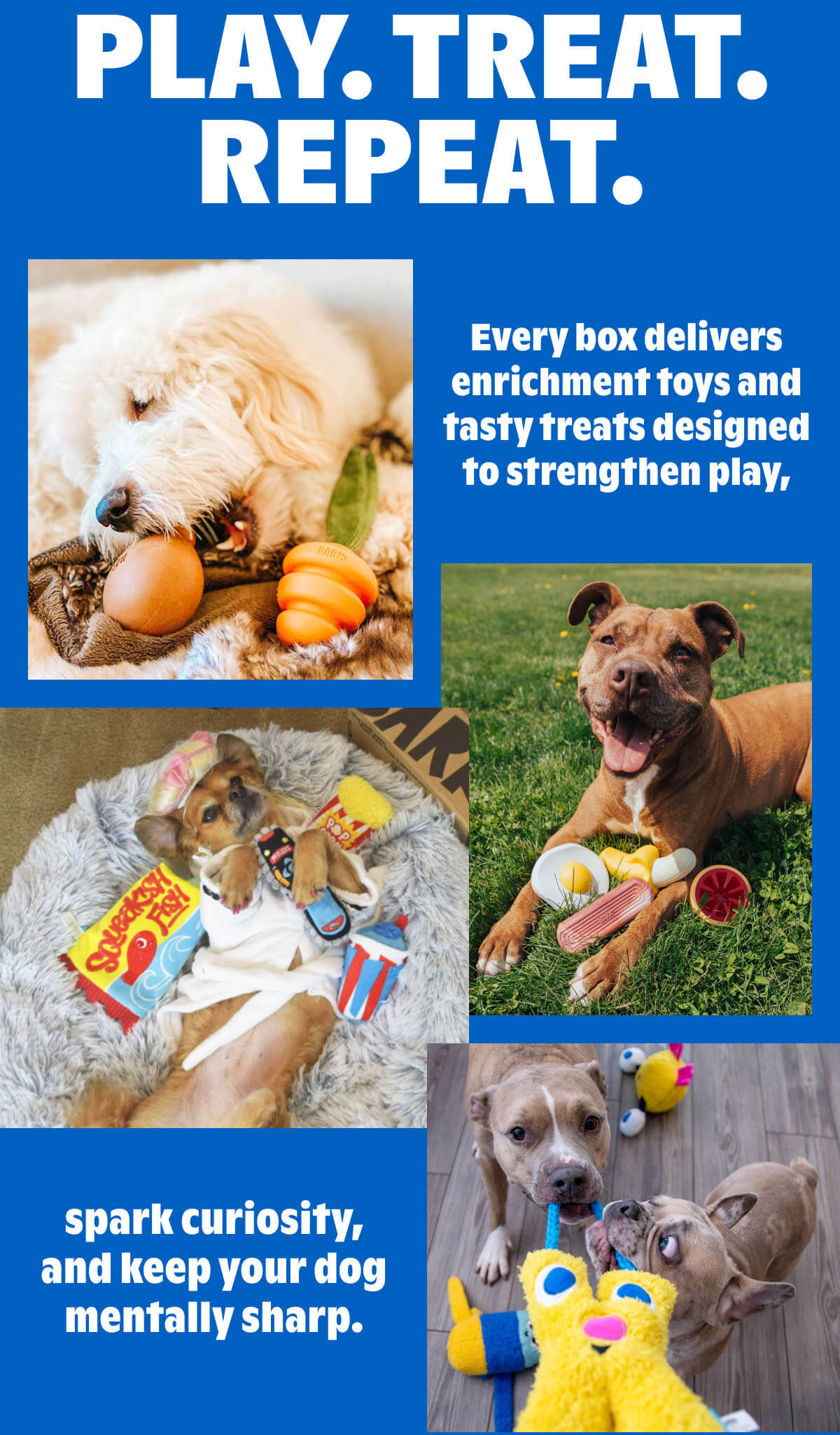 Play. Treat. Repeat.
