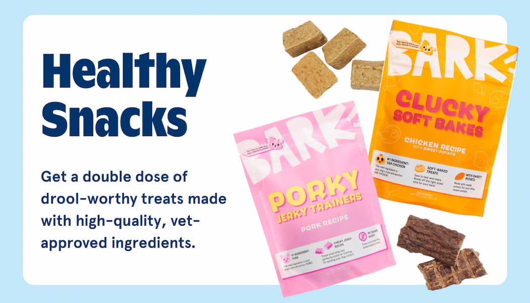 healthy snacks