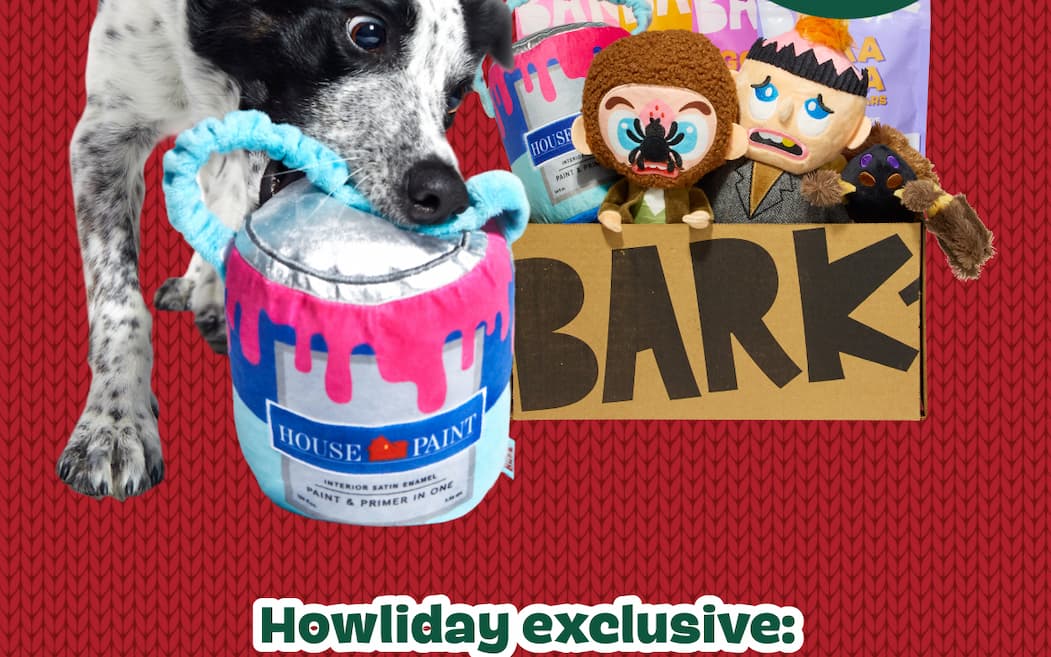 home alone bark