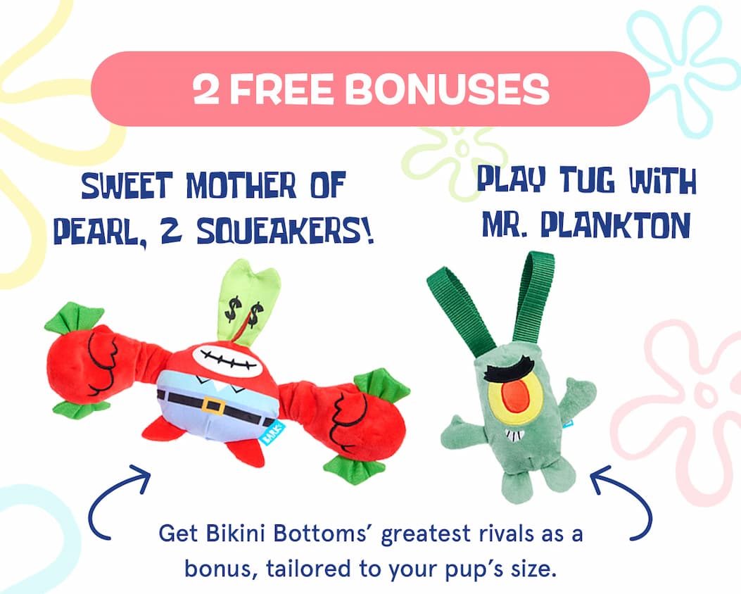 2 Free Bonuses