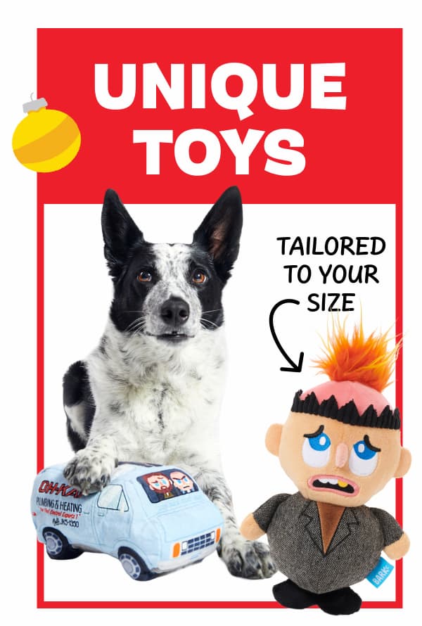 unique toys