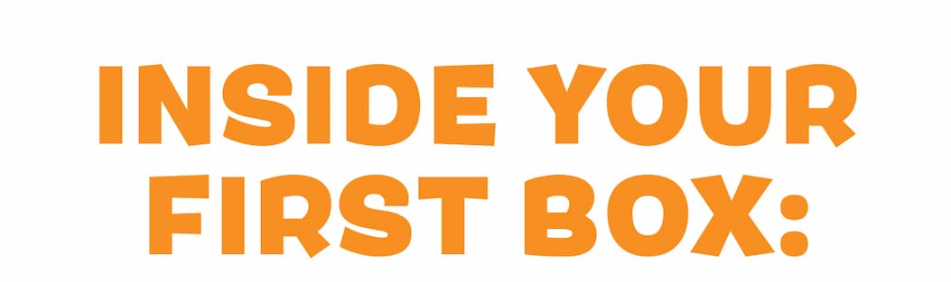 inside your first box