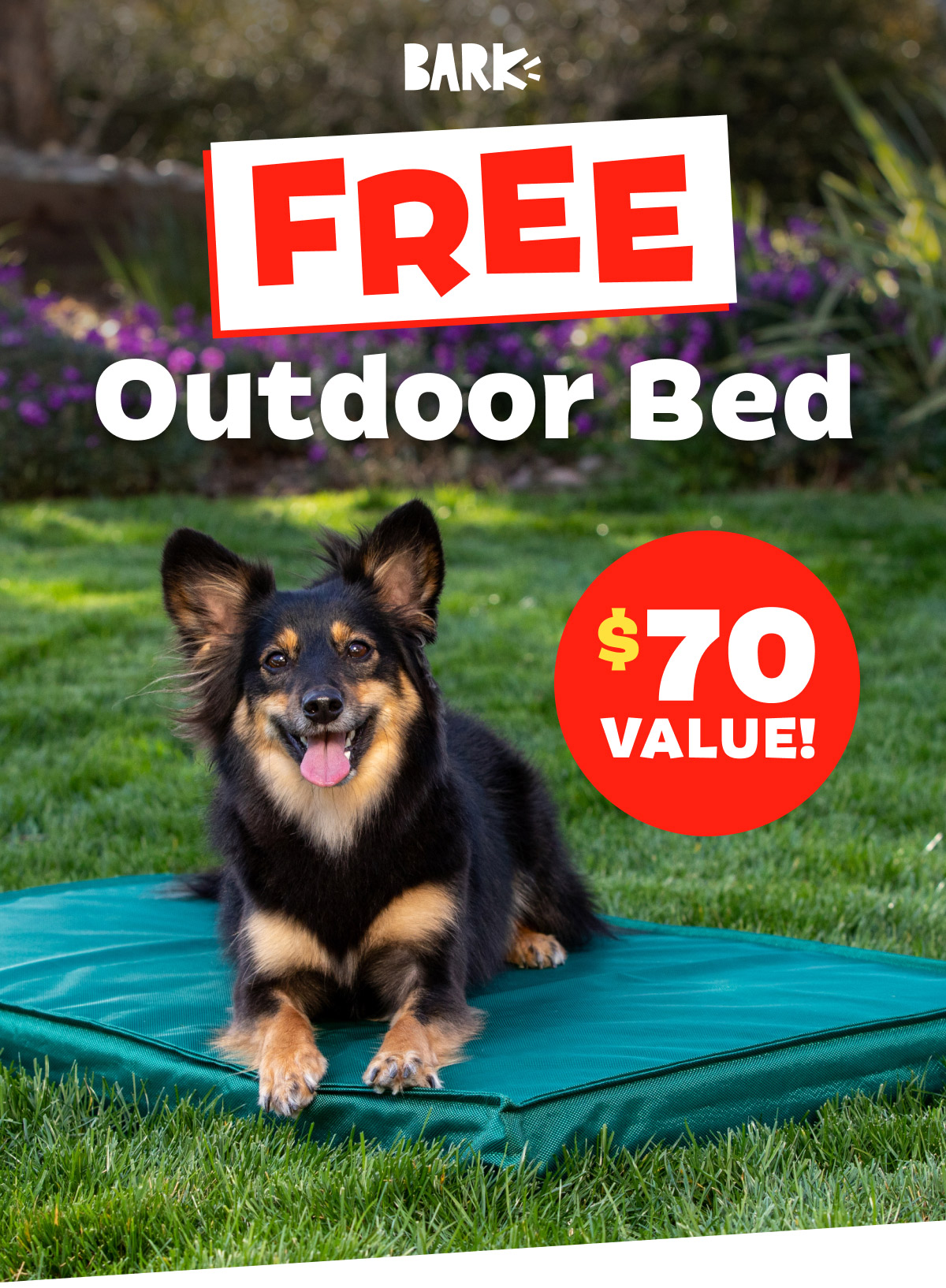 Get BarkBox and a Free Outdoor Dog Bed with your first delivery!
