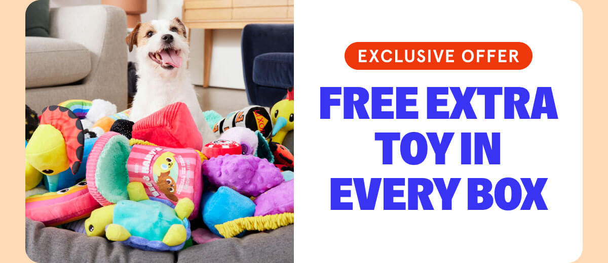 Free Extra Toy In Every Box