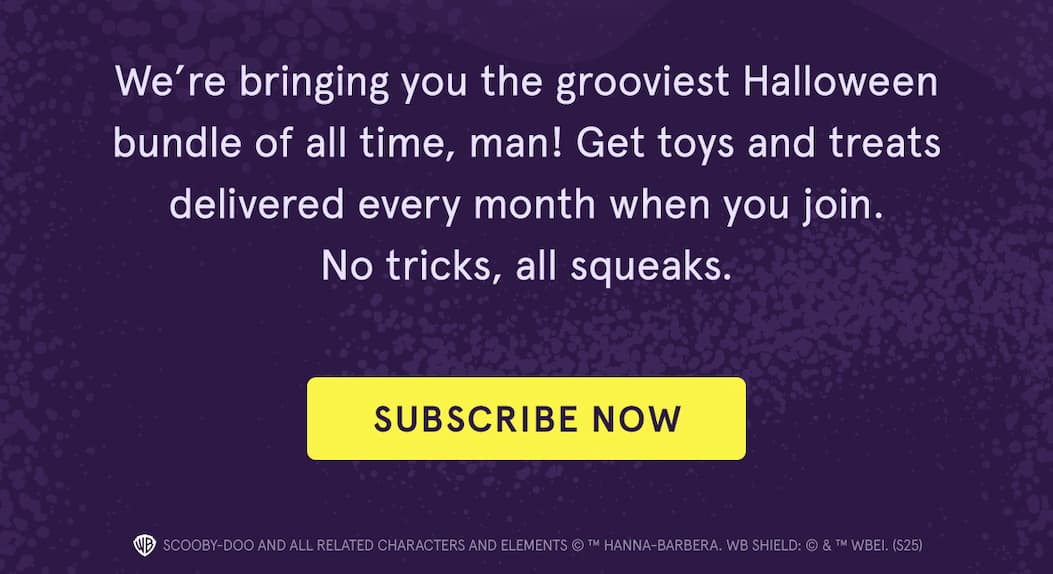 subscribe now CTA