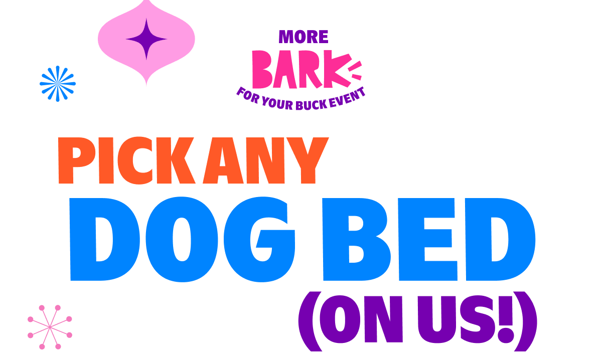 pick any DOG Bed (ON US!)