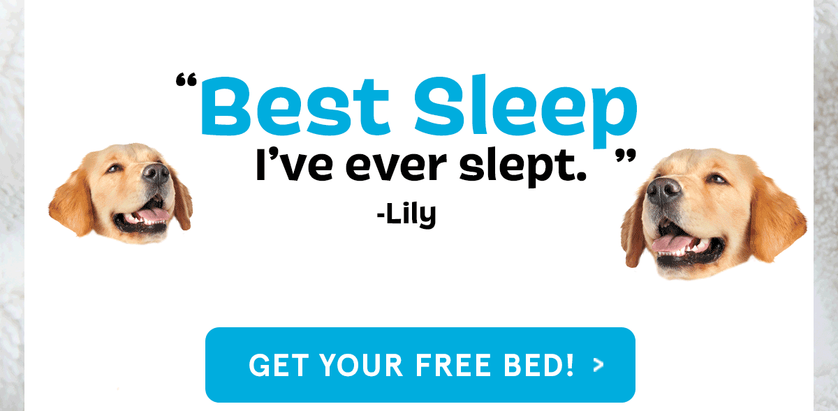 Free Dog Bed