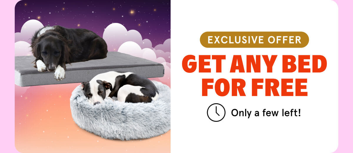 get any bed For Free