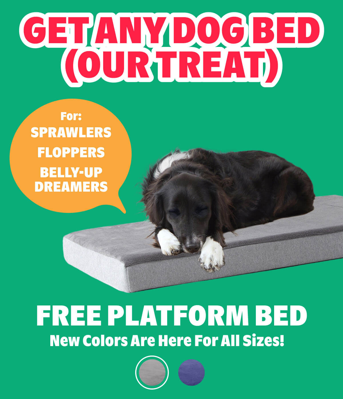 FREE Platform Bed