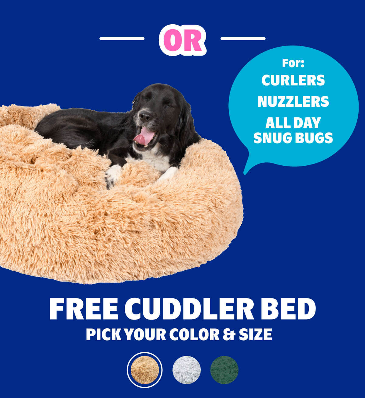 FREE Cuddler Bed
