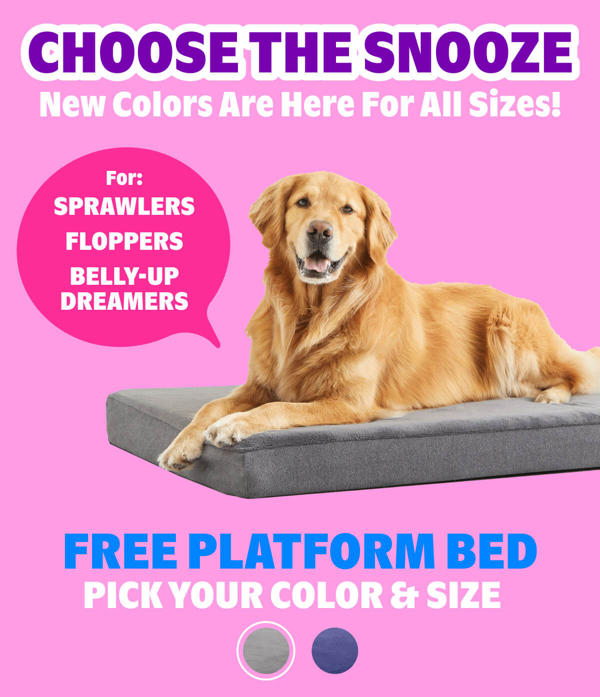 FREE Platform Bed