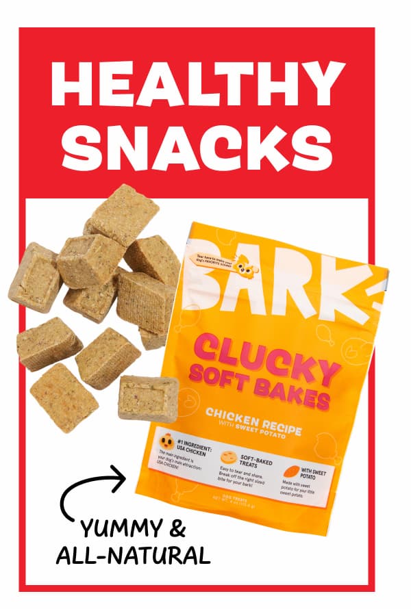 healthy treats