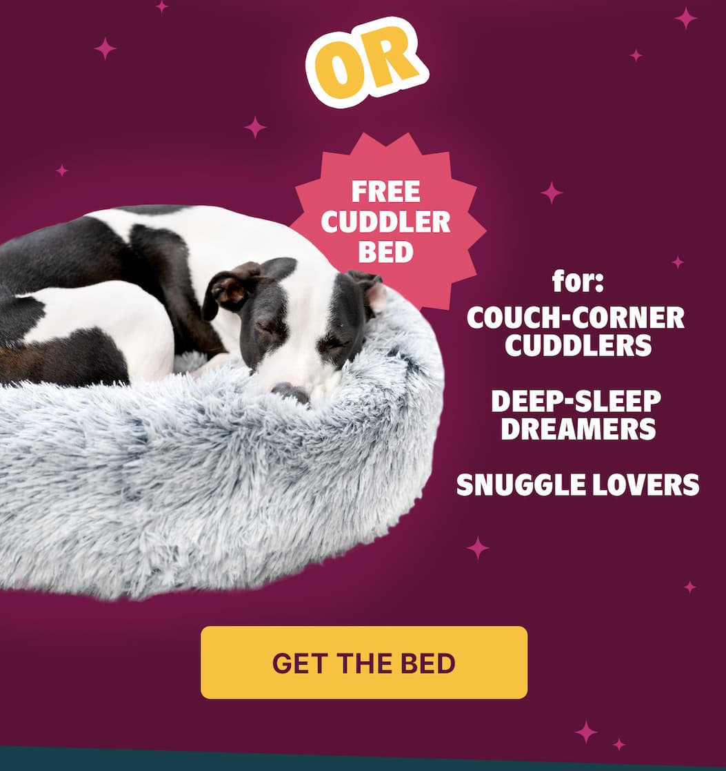 free cuddler bed