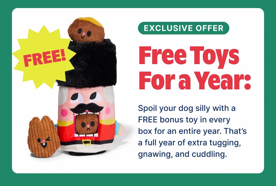 free extra toys for a year