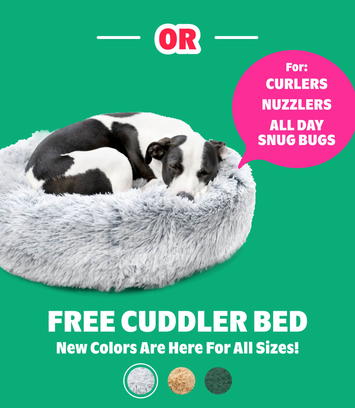 FREE Cuddler Bed