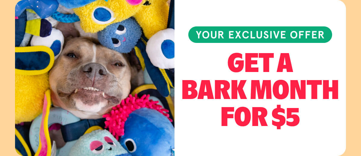 GET A BARK MONTH FOR $5