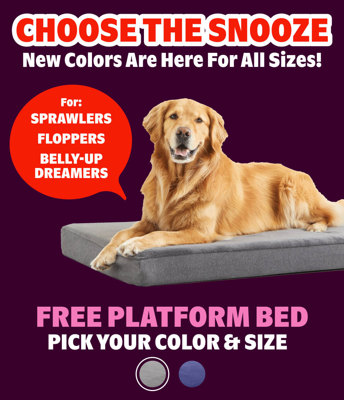 FREE Platform Bed