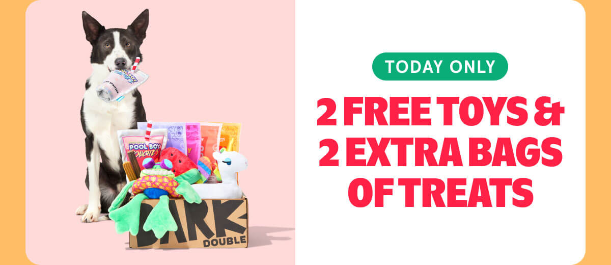 2 FREE TOYS & 2 EXTRA BAGS OF TREATS