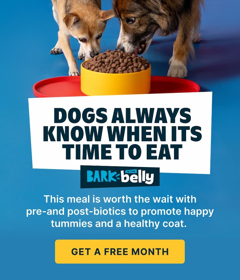 free dog food with first delivery