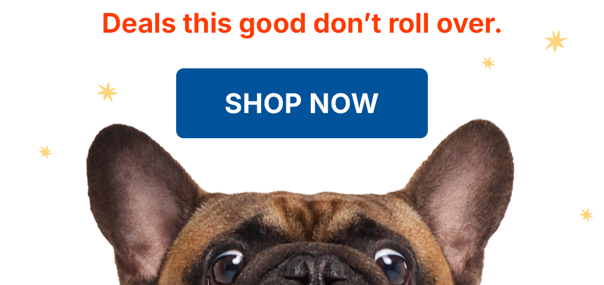 Big Bark Bundle Flash Sale