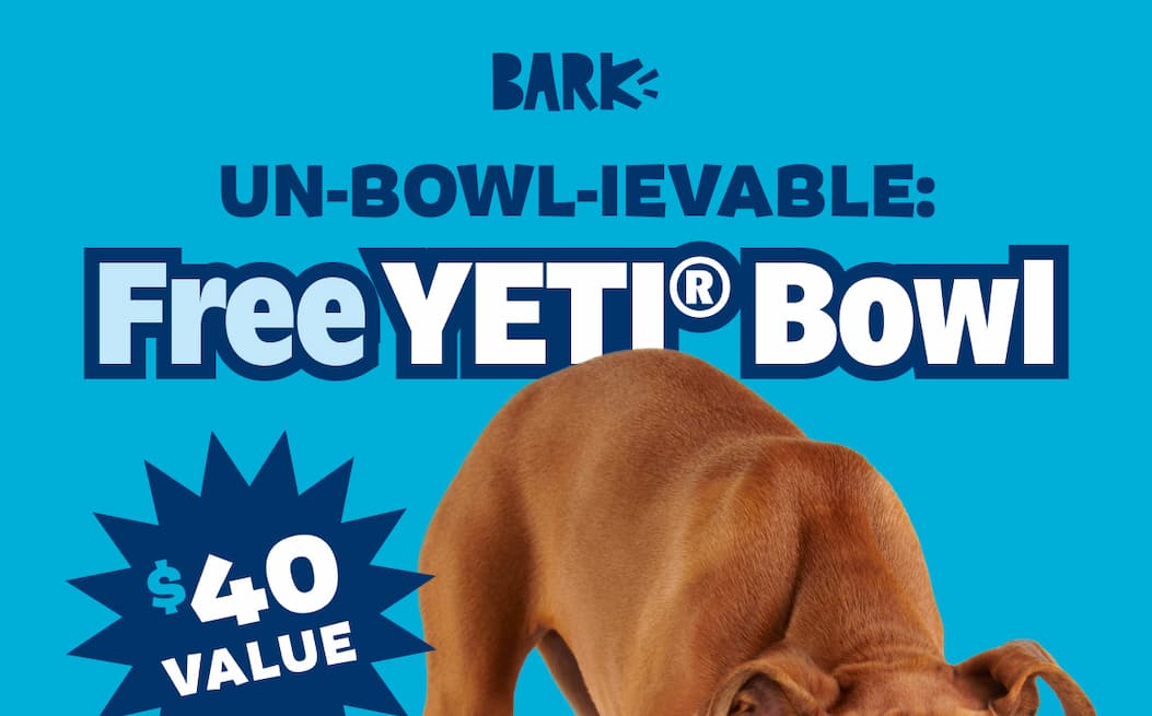 free yeti bowl
