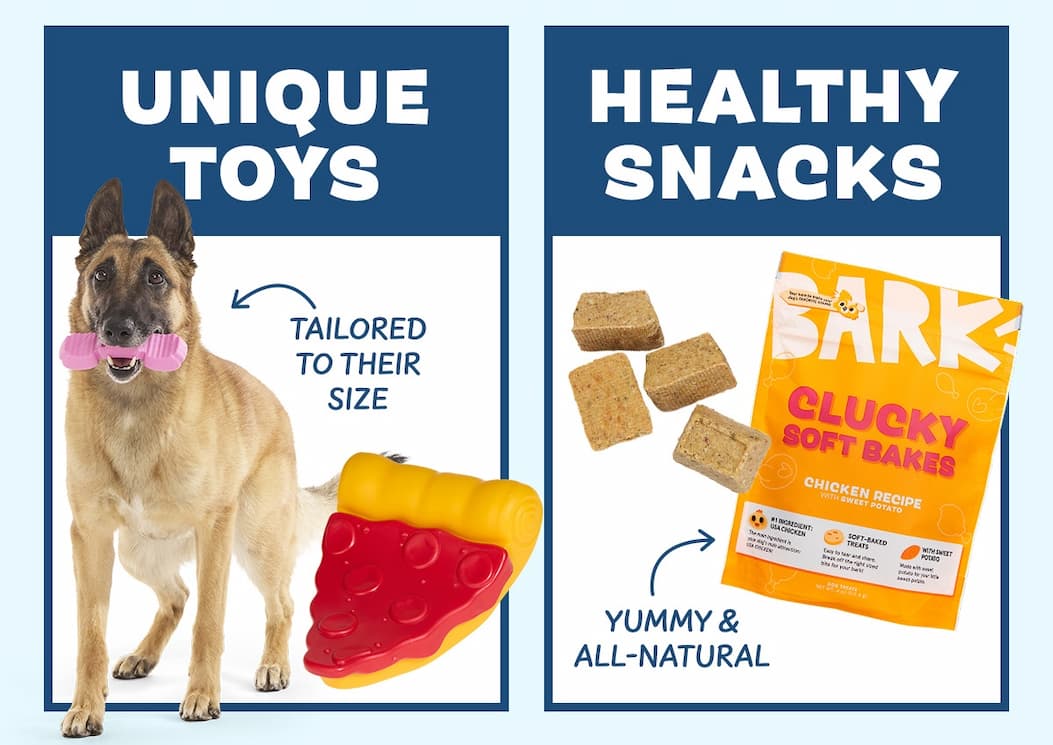 unqiue toys