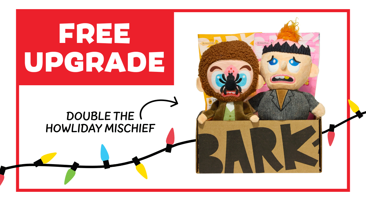 free toy and treat upgrade