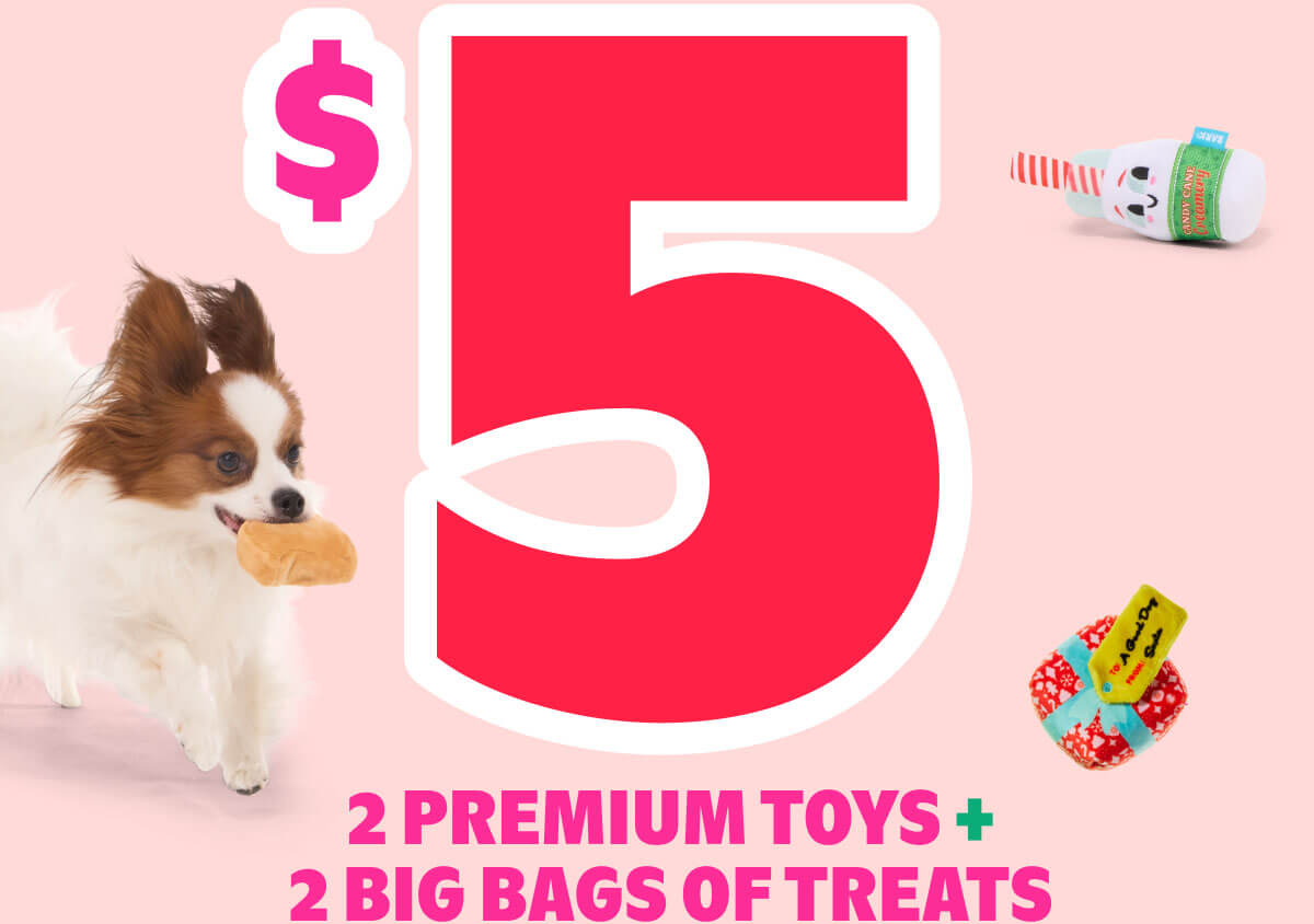 $5 Month 2 Premium Toys + 2 Big Bags of Treats