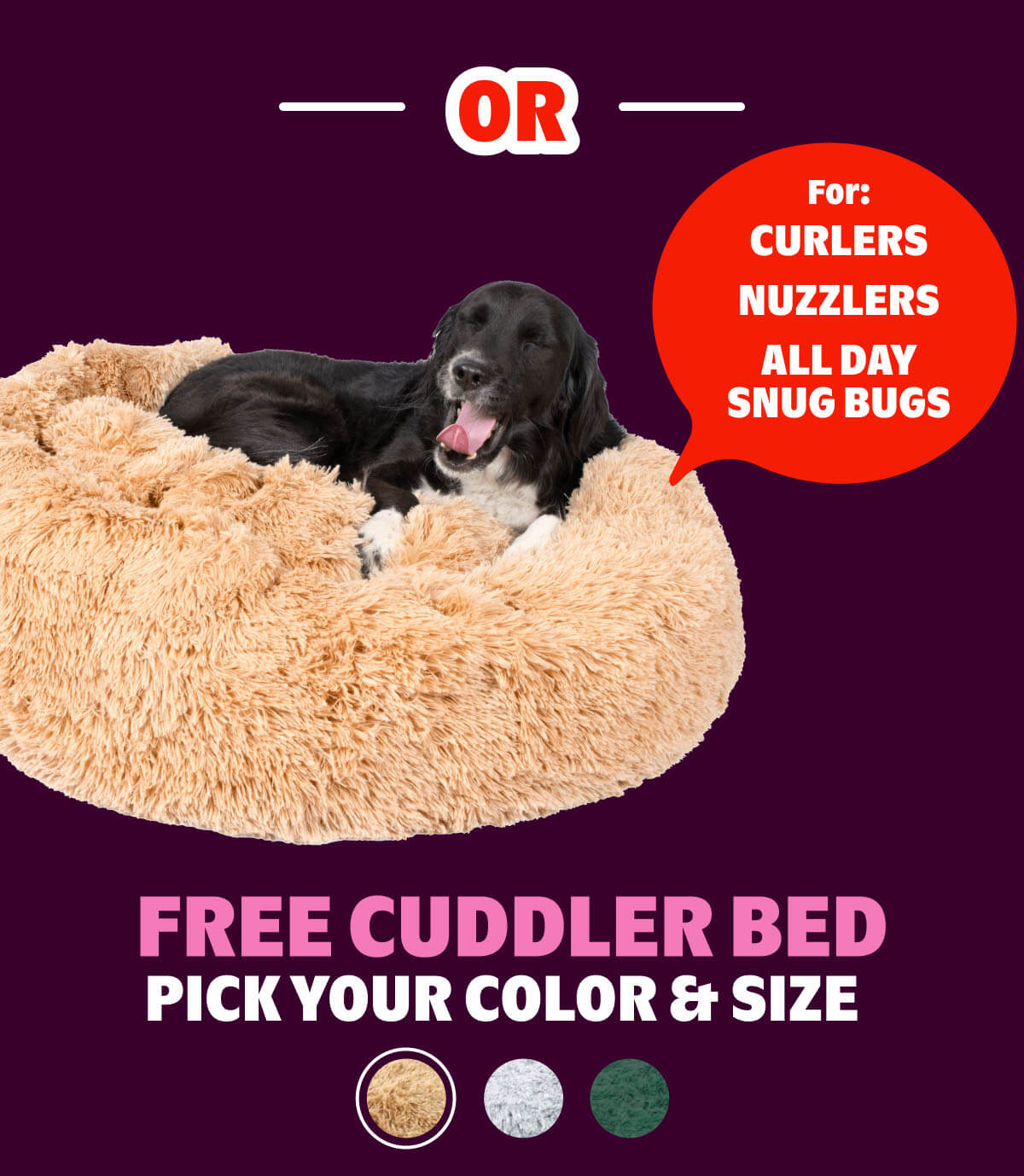 FREE Cuddler Bed