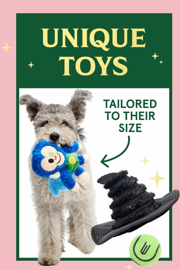 unique toys