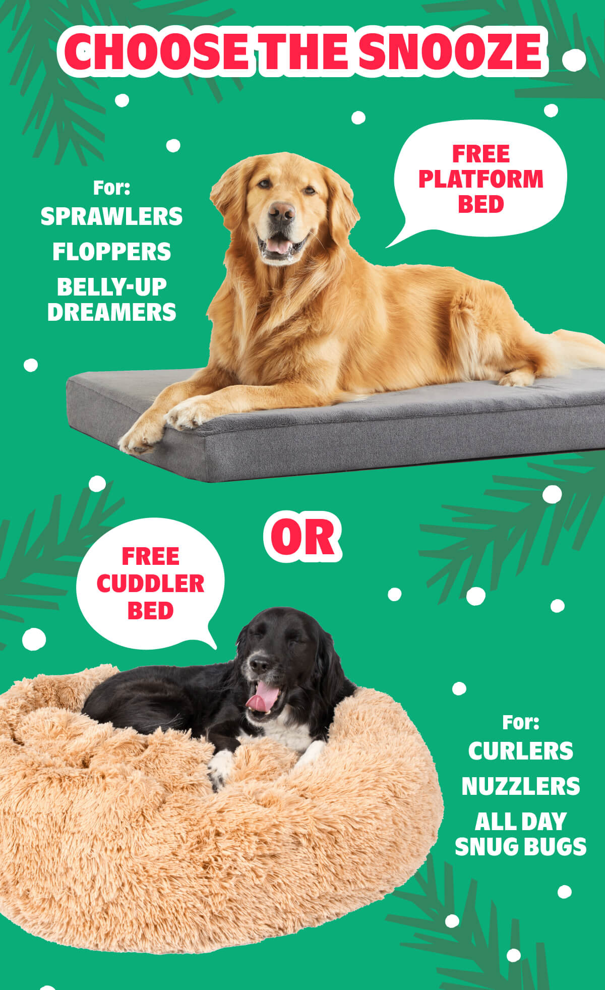 Choose The Snooze