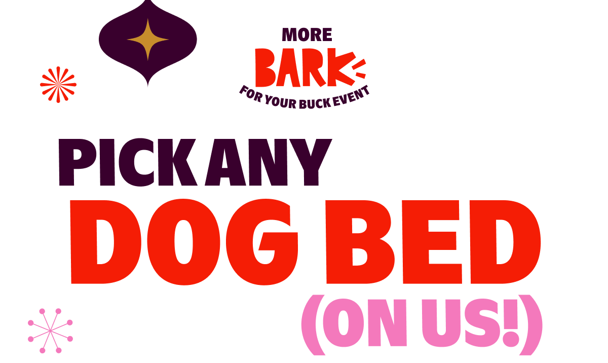 pick any DOG Bed (ON US!)