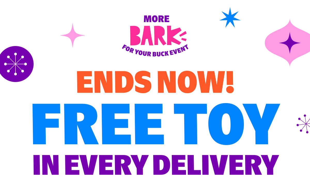 ENDS NOW! FREE TOY In EVERY DELIVERY