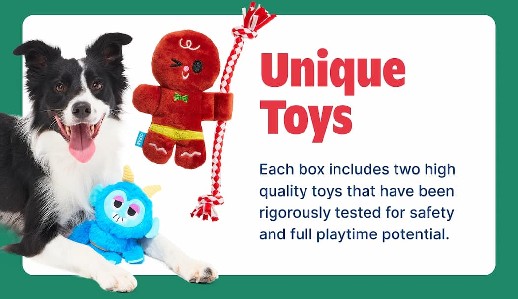 unique toys