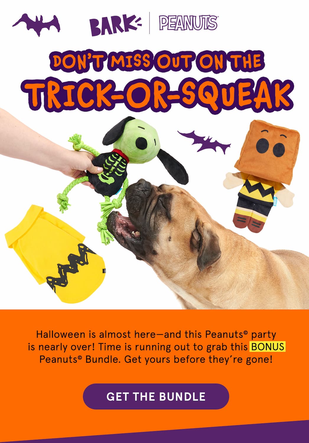 get the bundle