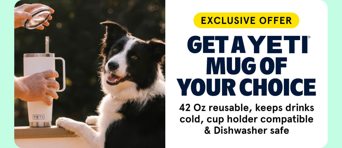 GET A YETI MUG OF YOUR CHOICE