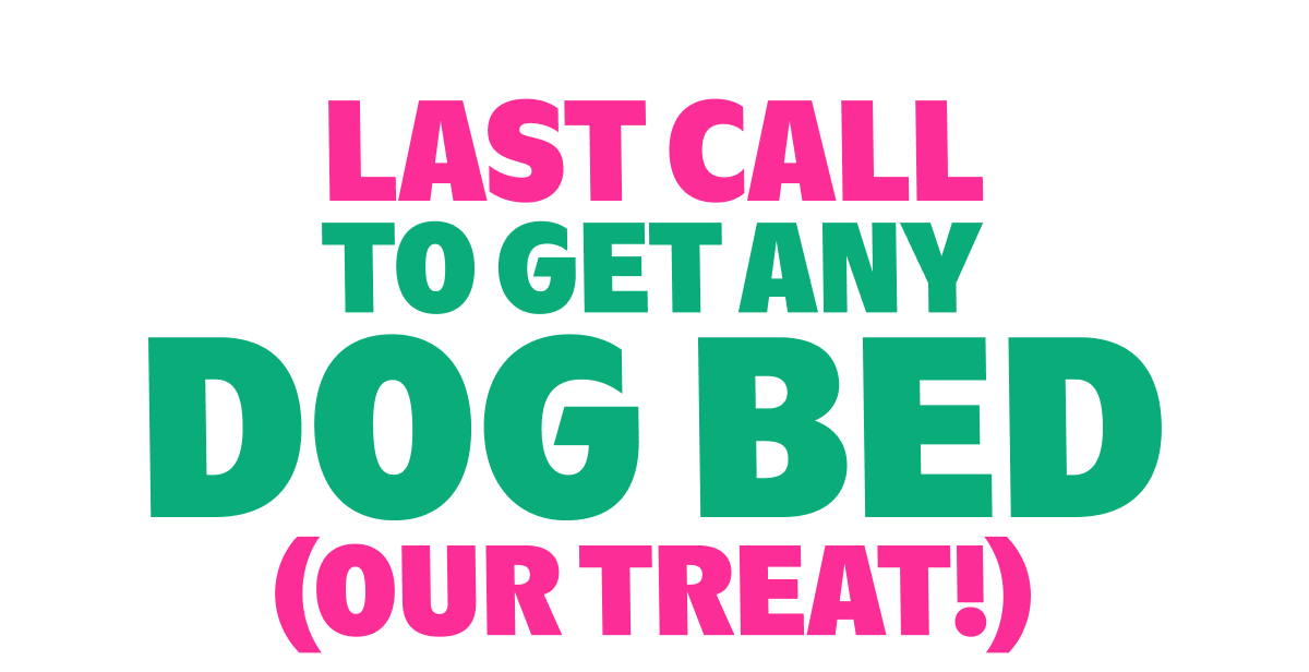 Our gift to you DOUBLE TOYS & TREATS Today Only